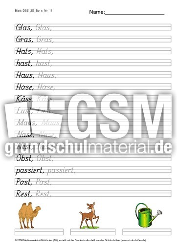 DSS_2S_Bu_s_Nr_11.pdf